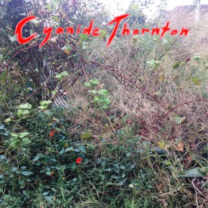 ดาวน์โหลดและฟังเพลง Rotten Tooth พร้อมเนื้อเพลงจาก Cyanide Thornton