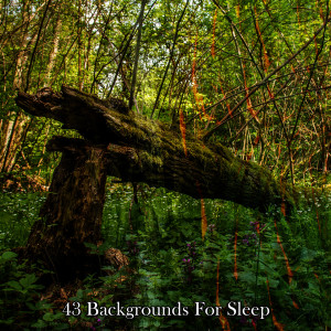 43 Backgrounds For Sleep