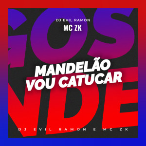 ดาวน์โหลดและฟังเพลง Mandelão Vou Catucar (Explicit) พร้อมเนื้อเพลงจาก Mc zkzin
