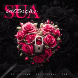 Listen to Sua Intenção (Explicit) song with lyrics from DJ Escobar