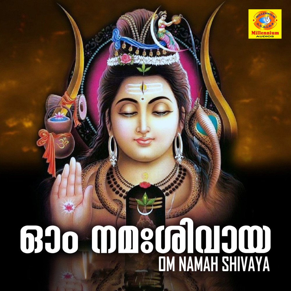 Om Namah Shivaya