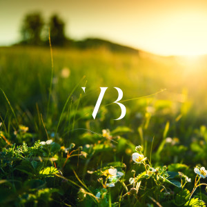 Album Melody Of Silence from Vincent Brahn