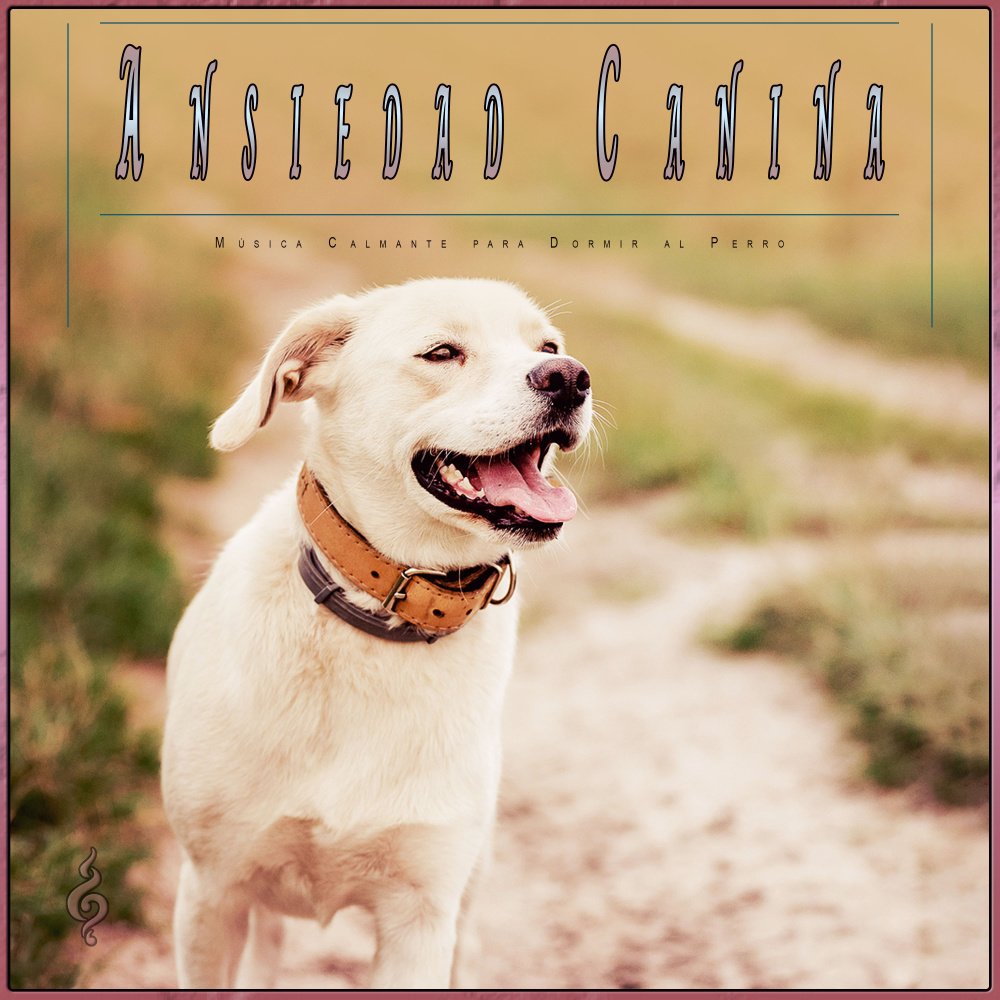 Música para Perros Con Ansiedad