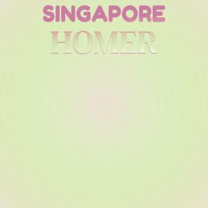 Various的专辑Singapore Homer