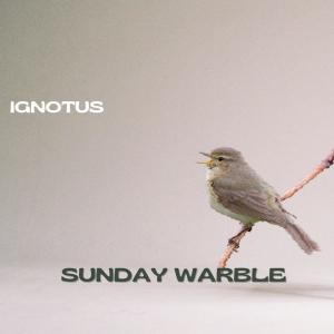 收聽Ignotus的Sunday Warble歌詞歌曲