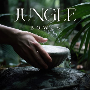Album Jungle Bowls (Music for Buddhist Meditation, Tibetan Sound Therapy, Remove Bad Energy) from Buddha Bali World