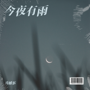 Album 今夜有雨 from 马旭东