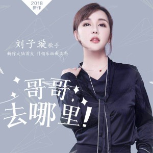 ดาวน์โหลดและฟังเพลง 哥哥，去哪里 พร้อมเนื้อเพลงจาก 刘子璇