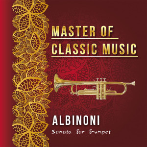 Listen to II. Allegro song with lyrics from Münchner Symphoniker