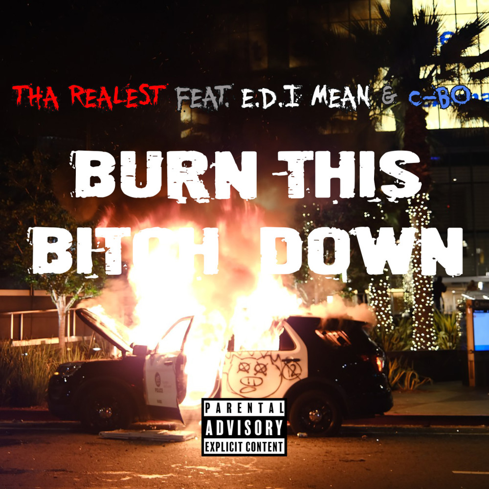 Burn This Bitch Down (Explicit)