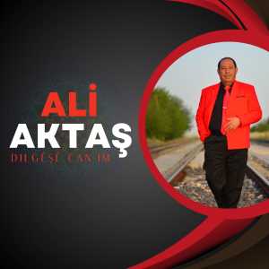 ดาวน์โหลดและฟังเพลง Bılbılé Dılşadi พร้อมเนื้อเพลงจาก Ali Aktaş