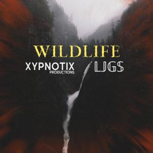 Listen to Wildlife (Explicit) song with lyrics from Xypnotix