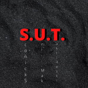 收聽SkonickS的S.U.T.歌詞歌曲