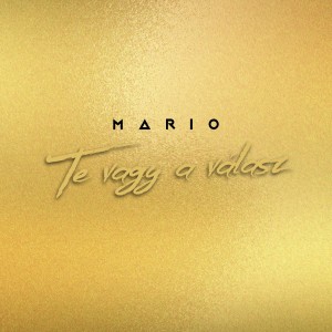 Album Te vagy a válasz from 