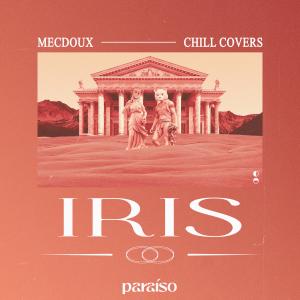 ดาวน์โหลดและฟังเพลง Iris พร้อมเนื้อเพลงจาก Mecdoux