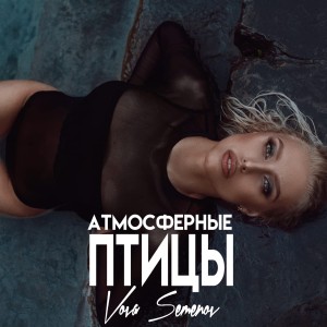Listen to Атмосферные птицы song with lyrics from Вова Семенов