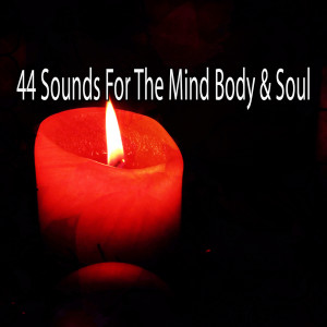 ดาวน์โหลดและฟังเพลง Anti Anguish พร้อมเนื้อเพลงจาก Asian Zen Spa Music Meditation
