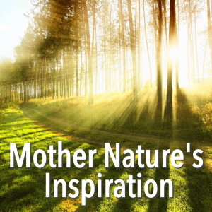 Listen to Mother song with lyrics from Wildlife