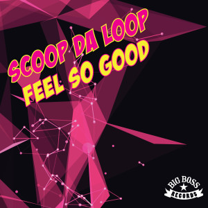 收聽Scoop da Loop的Feel So Good歌詞歌曲