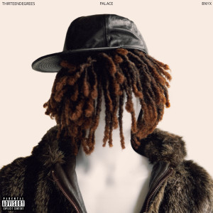thirteendegrees °的專輯PALACE (Explicit)