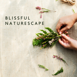 อัลบัม Blissful Naturescape (Anti Stress Headache Music) ศิลปิน Healing Power Natural Sounds Oasis