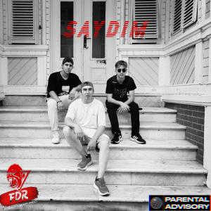 收聽Rodo的Saydım (feat. Çınar ÇAM & Veba) (Explicit)歌詞歌曲