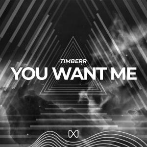 ดาวน์โหลดและฟังเพลง You Want Me พร้อมเนื้อเพลงจาก Timberr