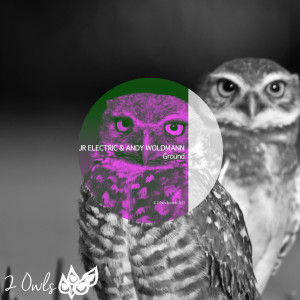 Listen to Ground song with lyrics from Andy Woldman