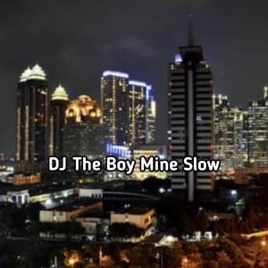 DJ The Boy is Mine Slow