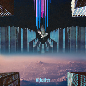 ดาวน์โหลดและฟังเพลง Night Birds พร้อมเนื้อเพลงจาก Tokimeki Records