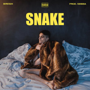 ดาวน์โหลดและฟังเพลง Snake พร้อมเนื้อเพลงจาก Bresh