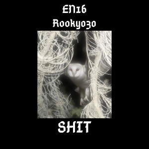Listen to **** (Explicit) song with lyrics from EN16