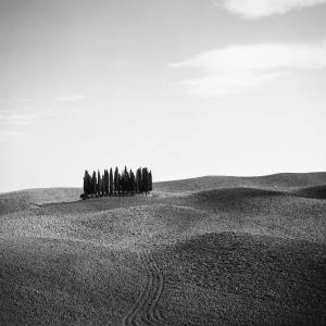 Listen to Joyful Time song with lyrics from Relajacion Del Mar