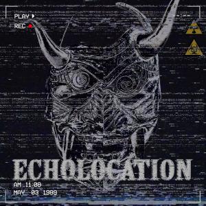 Album Echolocation from PQR