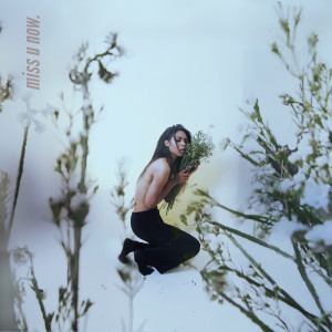Listen to Miss U Now song with lyrics from Troi Irons