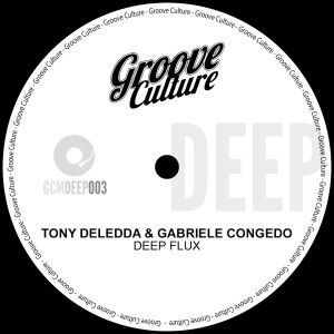 Tony Deledda的专辑Deep Flux