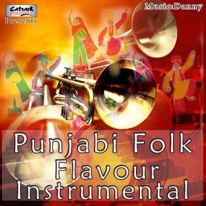 Punjabi Folk Instrumental