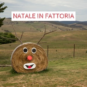 Dengarkan Samba in the Perrotquei lagu dari Bola Sete dengan lirik