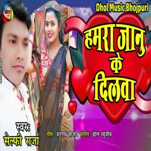 收聽Selfi Raja的Hamara Janu Ke Dilwa歌詞歌曲