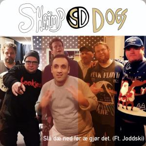收聽Shrimpdogs的Slå dæ ned før æ gjør det (feat. Joddski)歌詞歌曲