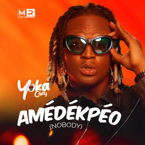 Listen to Amédékpéo (Nobody) song with lyrics from Yaka crazy
