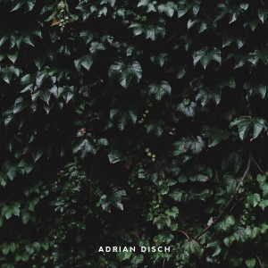 Album New Season from 