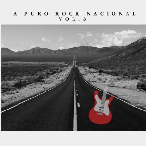 Various的专辑A Puro Rock Nacional Vol.3
