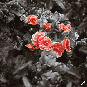收聽Anonymous Artists的Don't tryna be my love (Art. $AIL (세일)) (Feat. H:SEAN)歌詞歌曲