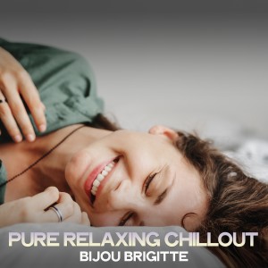 Album Pure Relaxing Chillout from 