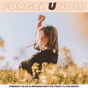 Listen to Forget U Now (其他) song with lyrics from Bruno Motta