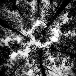 Dengarkan Давай позже (Explicit) lagu dari HEARTSNOW dengan lirik