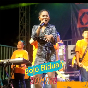 อัลบัม Bojo Biduan ศิลปิน Domino