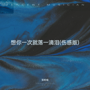 張盼峰的專輯想你一次就落一滴淚(傷感版)