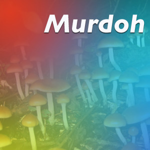 Listen to Murder Was The Case (Explicit) song with lyrics from SnoopDogg